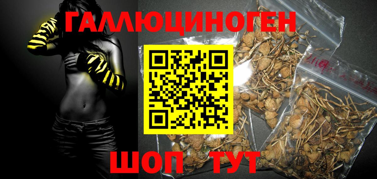 Альфа ПВП СОЛЬ   Елизово  Бошки Шишки  NBOMe  Cocaine  ГАШИШ  Мефедрон   Вход с VPN  Гашиш 