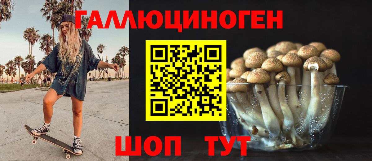 Елизово  Галлюциногенные грибы MAGIC MUSHROOMS  Вход с VPN 